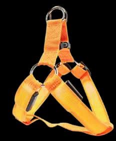 Pechera para mascotas con luz LED ·