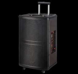 Caja activa 12” ·