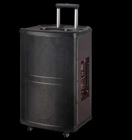 Caja activa 18” ·