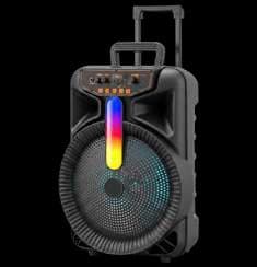 Caja activa 12” LED RGB · J-1204